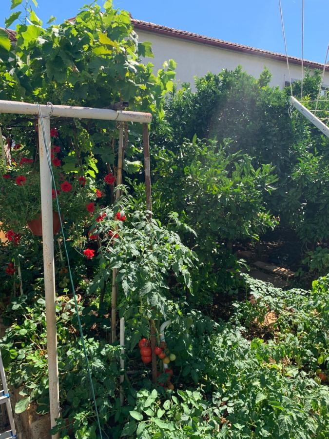 Taverna Coctel Пореч Экстерьер фото