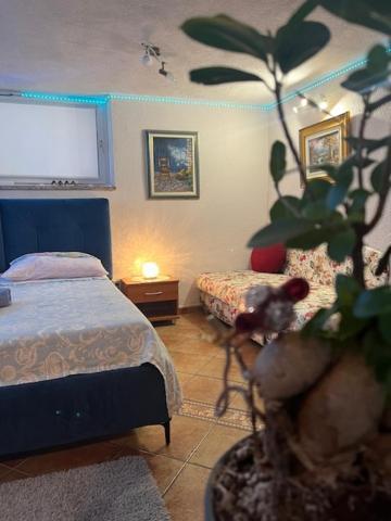 Taverna Coctel Пореч Экстерьер фото
